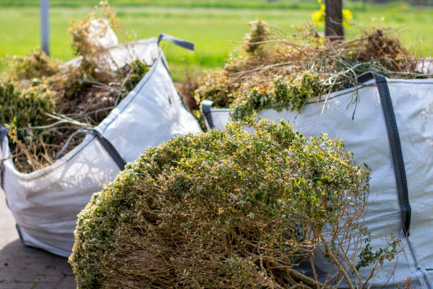 Best Electronics and E-Waste Disposal  in Buhler, KS